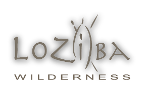 Loziba Wildlife Reserve logo