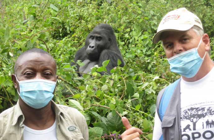 meeting the gorillas in DRC