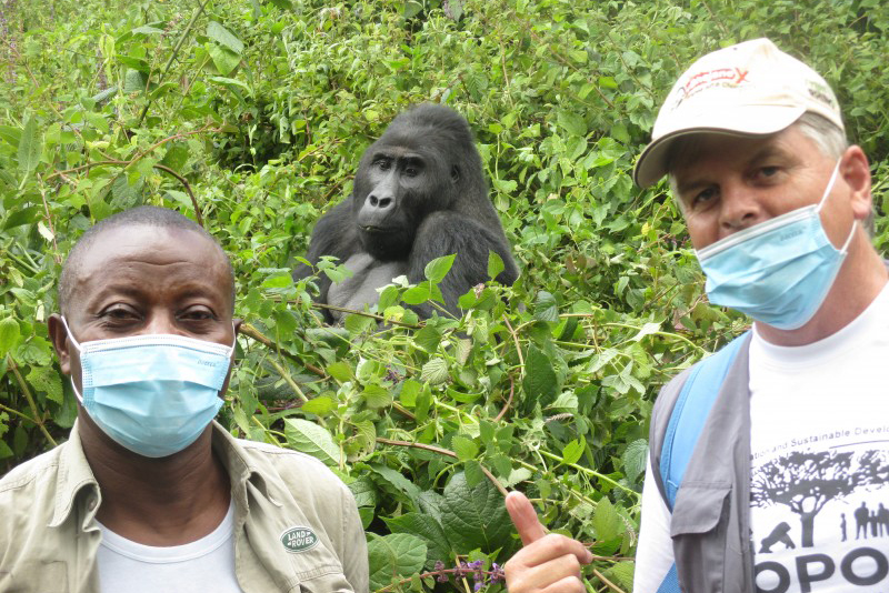 Gorilla Art Launch in the Democratic Republic of Congo