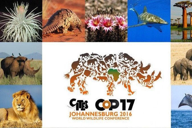 COP17 Cites Opening and Heritage Day