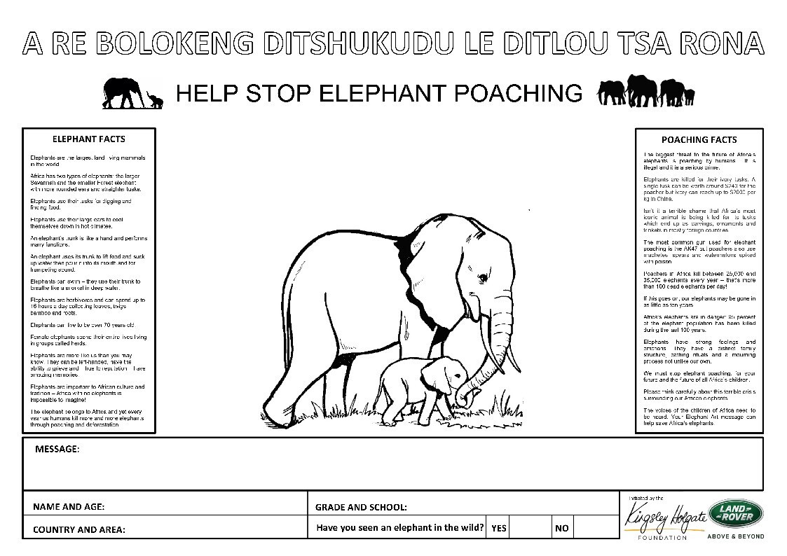 Anti-poaching poster